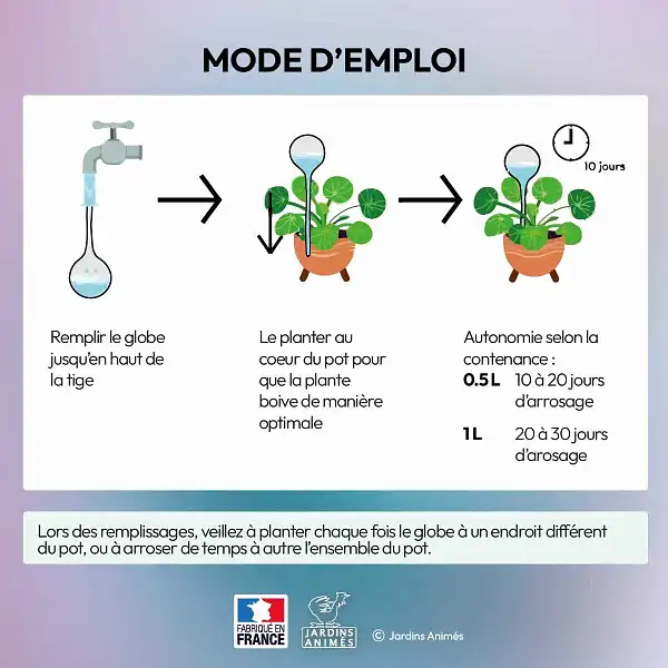utilisation globe arrosage