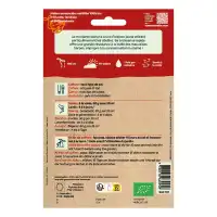 Graines de moutarde blanche bio 65g - Engrais vert