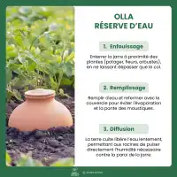 Ollas pot en terre cuite à enterrer - 20 litres - lot de 6