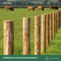 Piquet fendu en châtaignier pour clôture et aménagement extérieur - L.160 x l.17 cm