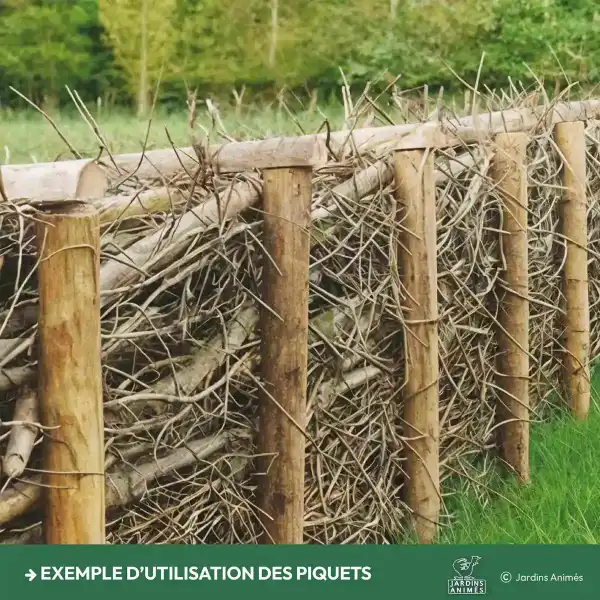 utilisation piquet haie seche