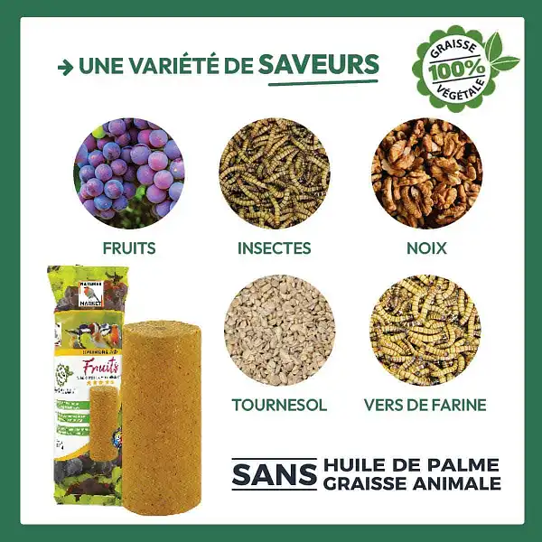 variantes saveurs cylindres graisse oiseaux
