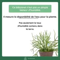 Testeur d'humidité pour plantes - Indicateur d'arrosage SUStee pour savoir quand arroser