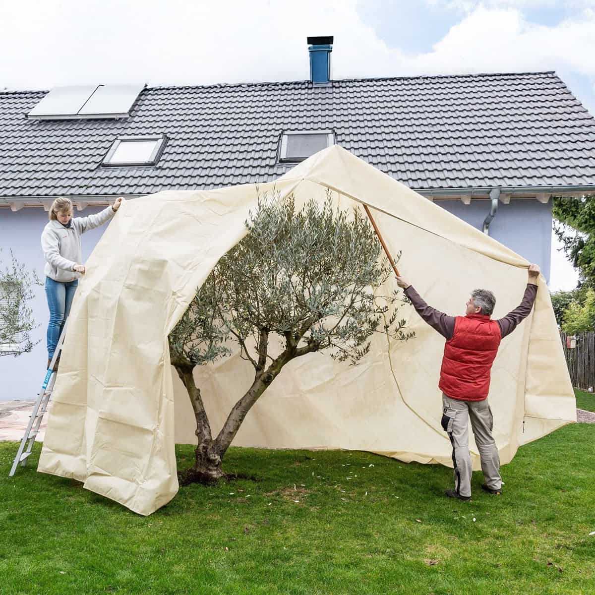 4 Voiles D'hivernage Pour Plantes Extérieur - 120x80 Cm - Tissu Non Tissé Respirant - Fermeture éclair Et Cordon - Protection Gel, Neige, Vent