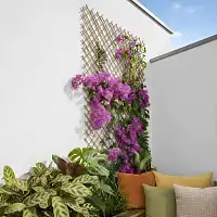 Wick treillis en osier naturel pelé - L.200 x l.100 cm  Wick treillis en osier naturel pelé - L.200 x l.100 cm