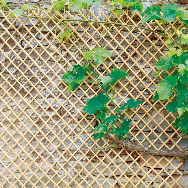 wick treillis osier pele 150  wick treillis osier pele 150