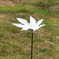 Bain d'oiseau porcelaine aux feuilles palmées