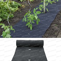 Feutre de culture pour tomates et fraisiers pré percé 500cmx60cm