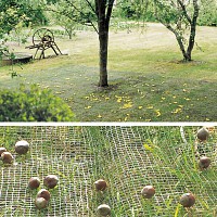 Filet de ramassage des récoltes fruits, olives, 4m x 6m