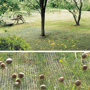 Filet de ramassage des récoltes fruits, olives 4m x 6m