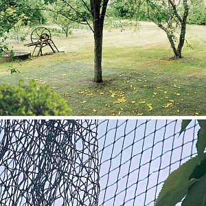 Ramasse-noix Et Fruits Roulant - Rouleau Télescopique En Acier Inoxydable, 5 Sections (150 Cm)