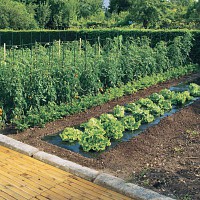 Film de paillage Terrafilm bio 1.4m x 5m