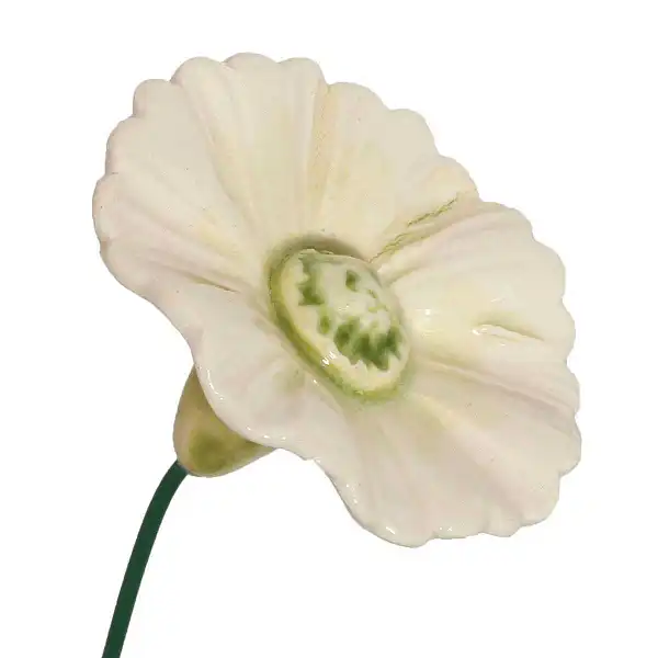 fleur bleuet ceramique blanc