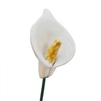 Fleur en céramique sur tige à planter - Arum blanc crème