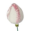 Fleur en céramique sur tige à planter - Tulipe blanche