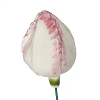 Tulipe blanche - Fleur en céramique sur tige à planter