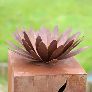 Fleur de chrysanthème en métal rouillé