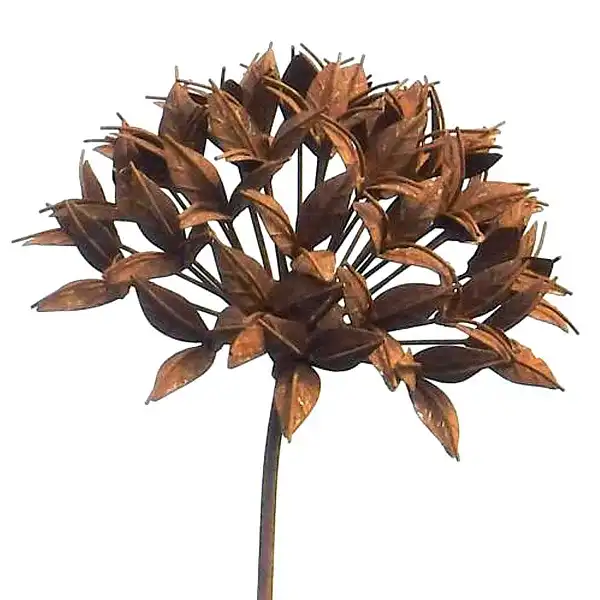 fleur decoration jardin