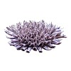 Fleur corail en céramique Fractal 18cm - Lilas