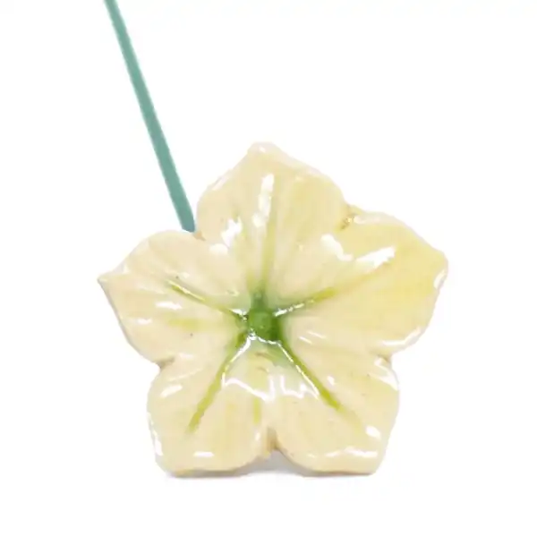 fleur mirabilis blanc deco