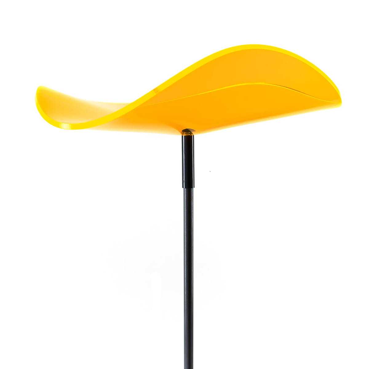 fleur soleil lucy jaune