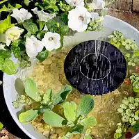 Fontaine solaire, pompe pour bassin - 4 jets d'eau différents - D.16 cm