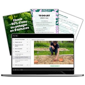 Formation en ligne - Réduire drastiquement l'eau au potager