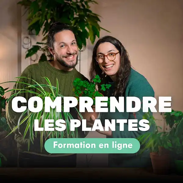 formation comprendre les plantes