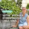 Formation en ligne - L'hydroponie chez soi