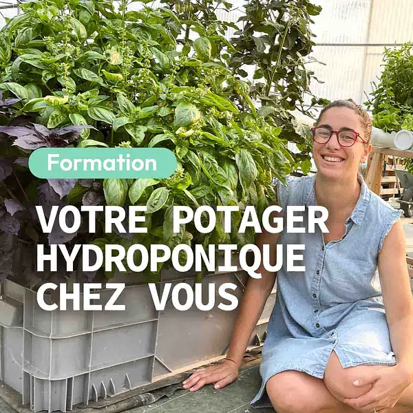 formation hydroponie chez soi
