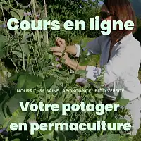Formation en ligne 40h - Mon potager en permaculture