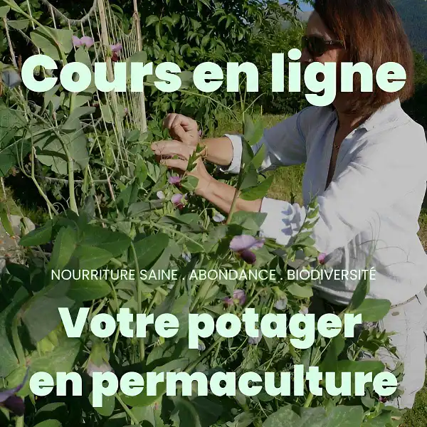 formation potager en ligne