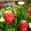 Fraise en céramique sur tige à planter - Déco jardin