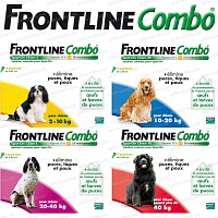 Frontline Combo pour chien selon le poids