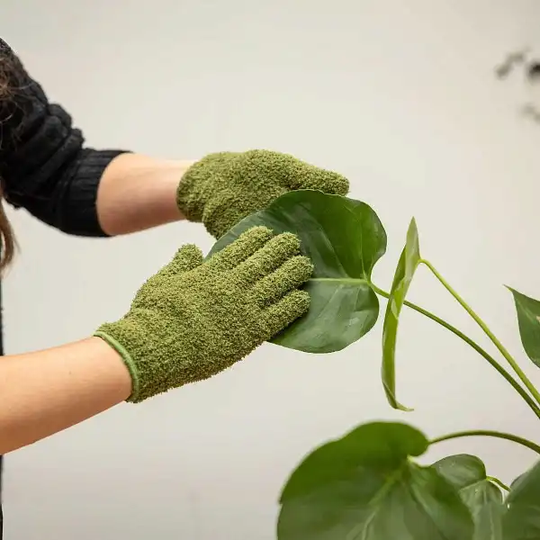 gants nettoyage pour plantes