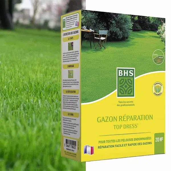 gazon reparation 500g