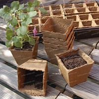 Pots à semis 6x6cm 100% biodégradable - lot de 20