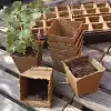 Pots à semis 6x6cm 100% biodégradable - lot de 20