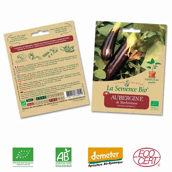graines bio aubergine barbentane