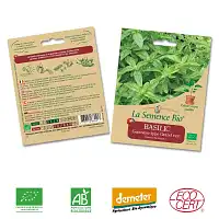 Basilic Genovese graine semence bio