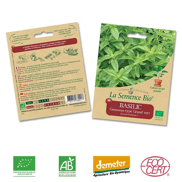 graines bio basilic graines bio basilic