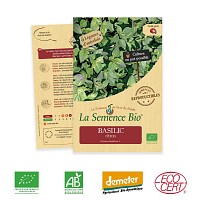 Basilic Citron - graine semence bio