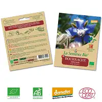 Bourrache Officinale graine semence bio