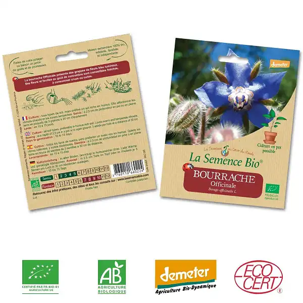 graines bio bourrache