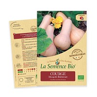 Courge musquée Butternut - Graines semence bio