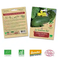 Concombre Marketmore graine semence bio  Concombre Marketmore graine semence bio