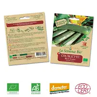 Courgette Black Beauty graine semence bio  Courgette Black Beauty graine semence bio