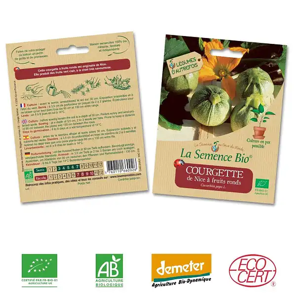graines bio courgette ronde nice graines bio courgette ronde nice