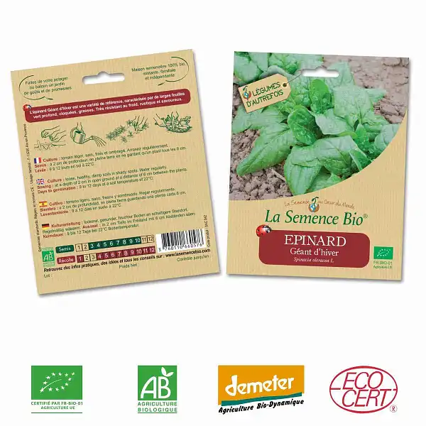 Graines D'épinard Géant D'hiver Bio - Sachet 10 G - Certifié ECOCERT - LES GRAINES BOCQUET