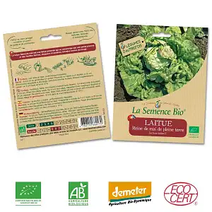 Laitue Reine de Mai graine semence bio